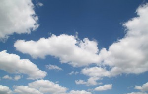 11846798_887201718040890_6013569812198790817_n